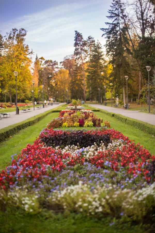 A Hoteli - Hotel Slatina Vrnjačka Banja エクステリア 写真